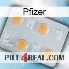Pfizer 24
